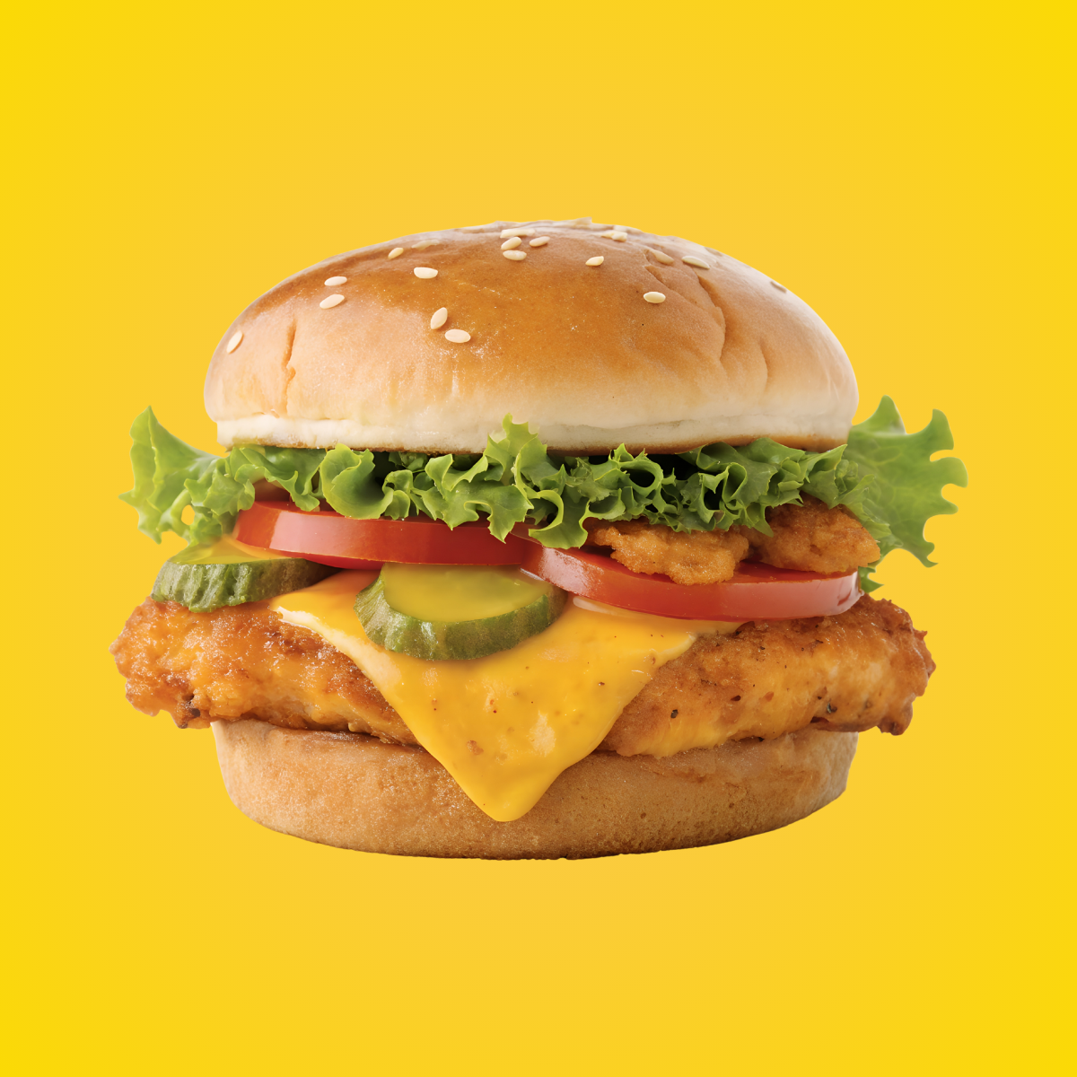 Special Chicken Burger